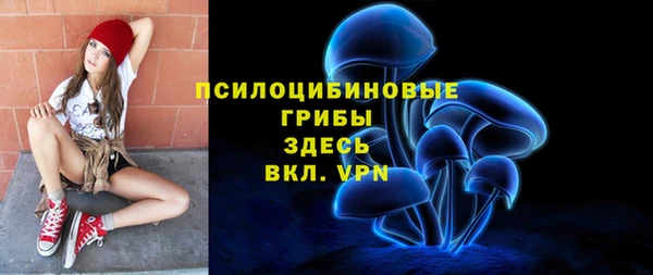 PSILOCYBIN Верхний Тагил