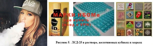 амф Верея