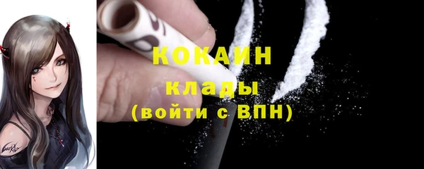 PSILOCYBIN Верхний Тагил
