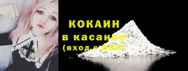 амф Верея