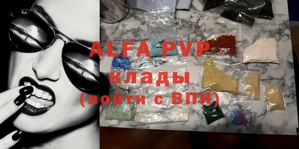 амф Верея