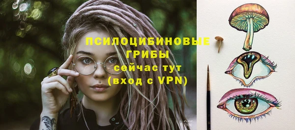 амф Верея