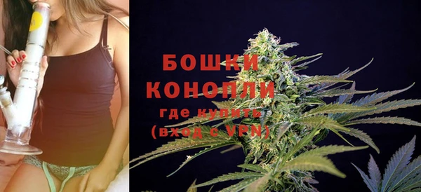 амф Верея