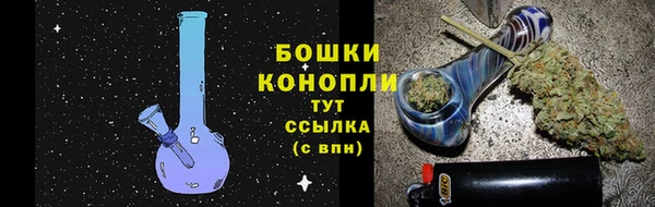 амф Верея