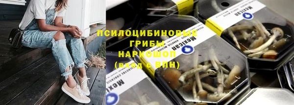 PSILOCYBIN Верхний Тагил