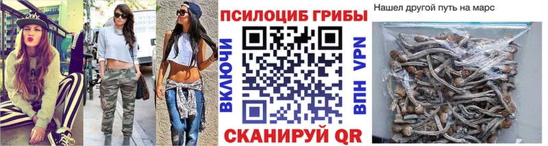 omg ONION  Ангарск  Галлюциногенные грибы Cubensis 
